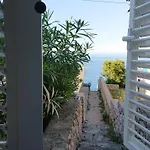 Antonieta Veli Lošinj